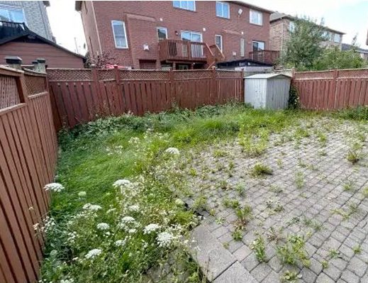 Garten und Terassenplatten vorher