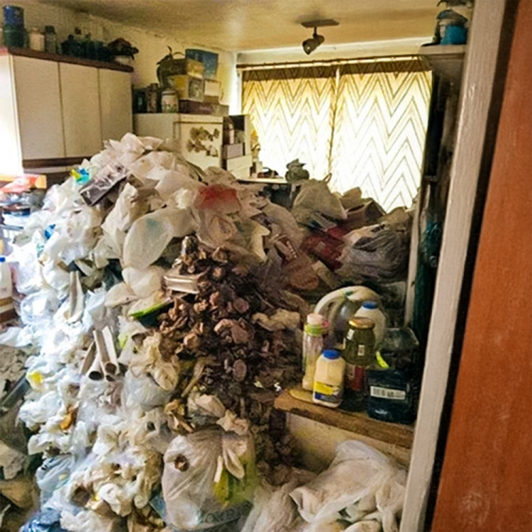 Bild Messiewohnung vorher