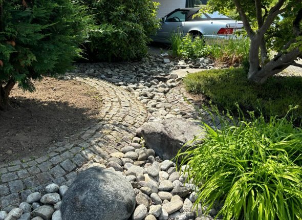 Bild Gartenaufbereitung Unkraut nachher