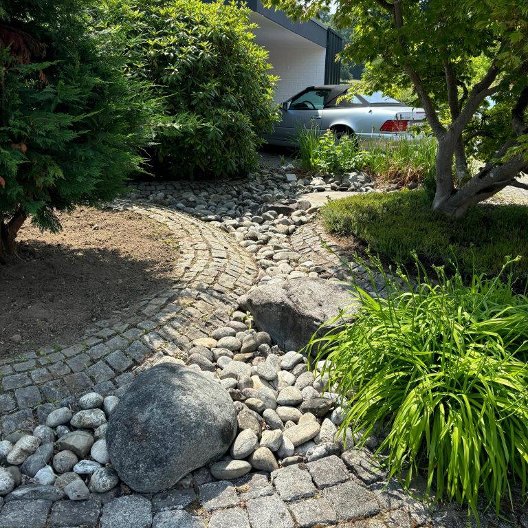 Bild Gartenaufbereitung Unkraut nachher