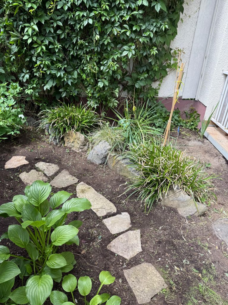 Unkrautentfernung im Beet nachher