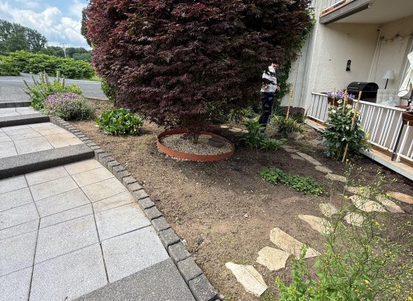 Unkrautentfernung im Beet nachher 4