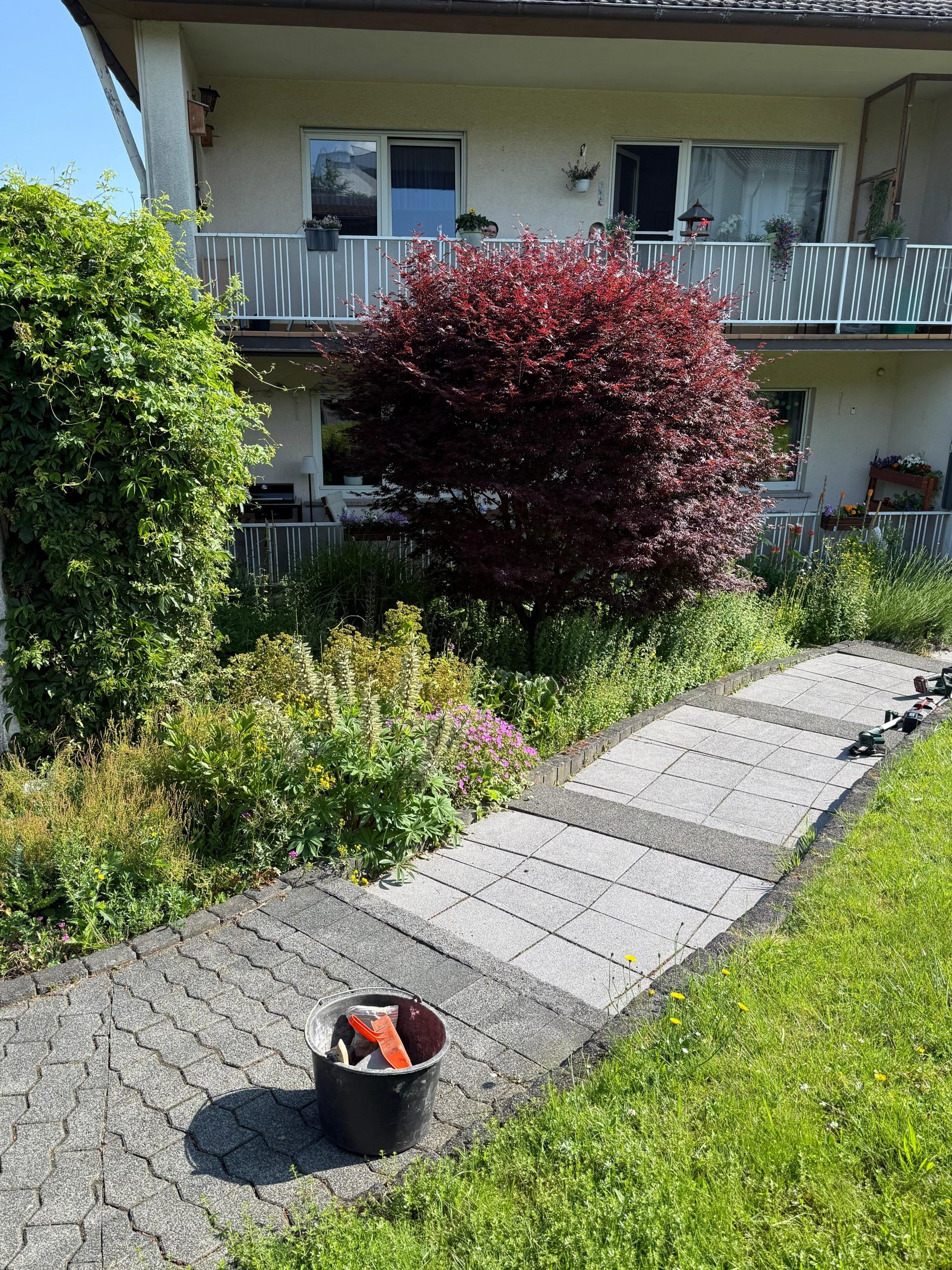 Bild Unkrautentfernung im Beet vorher 2