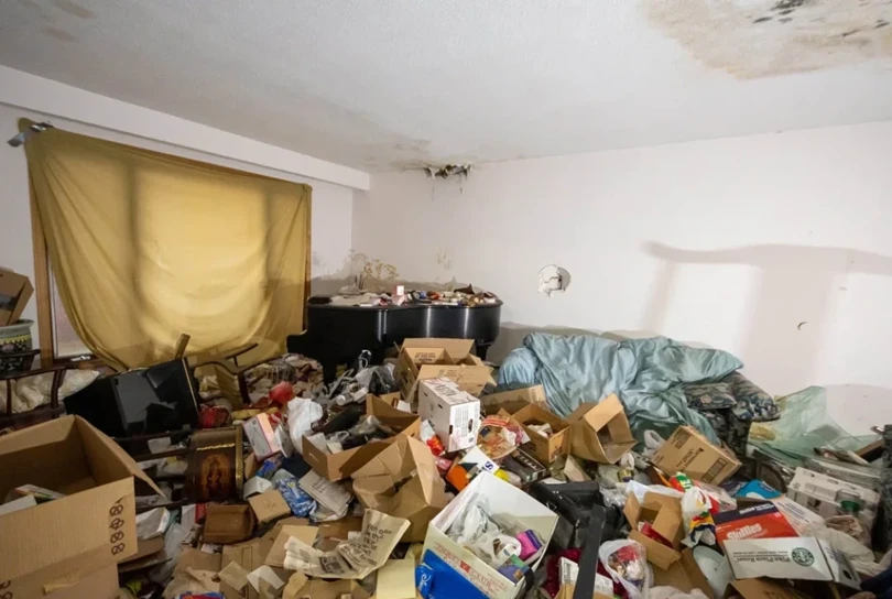 Bild Entrümpelung mit Schädlingsbefall vorher