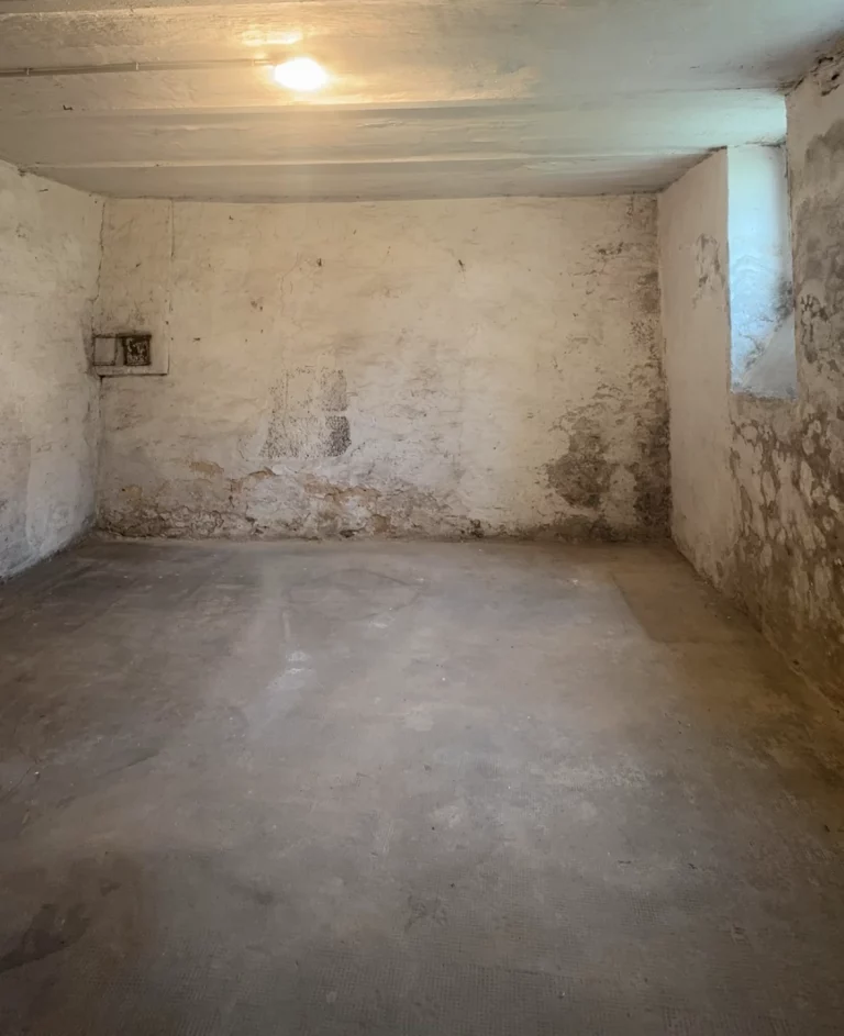 Bild zu entrümpelnder Keller vorher